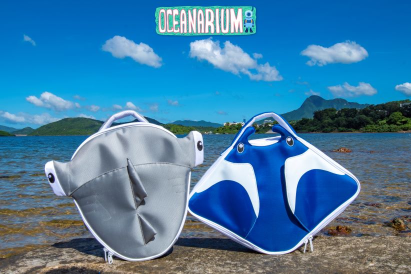 Oceanarium-Regulator-bag