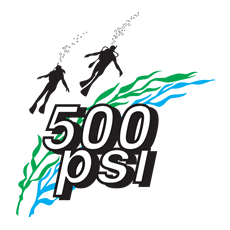 500psi